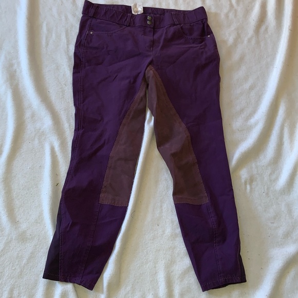 Tuscany Pants - Tuscany purple full seat ultrasuede breeches dressage riding size 36 measure 32”